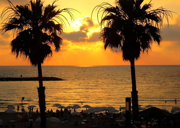 H7 Tlv